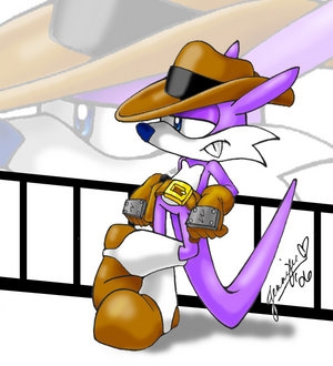 How many games did Nack the Weasel (Fang the Sniper) appear in?
