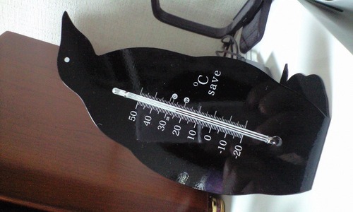  This thermometer is owned by: