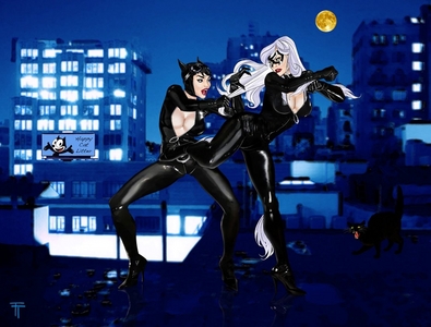  Catwoman vs the Black cat