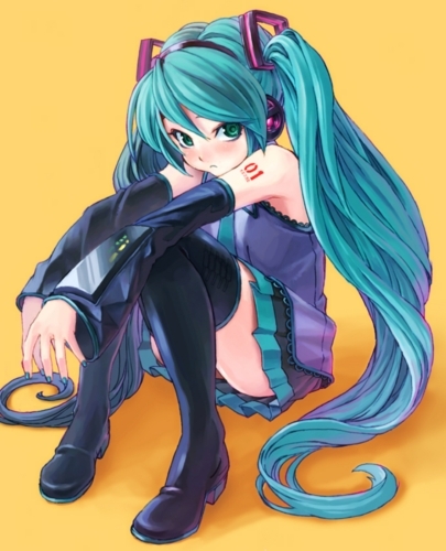  How old is Miku?