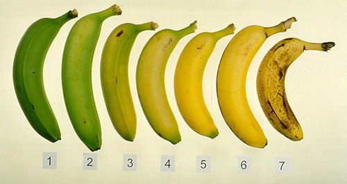 What color are good bananas?