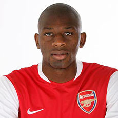  Abou Diaby is number ___ in the current squad