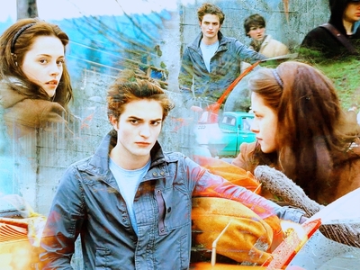  In Twilight, where does Bella first see Edward?
