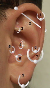  On which number would wewe find a "tragus" piercing?