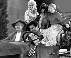 In the Beverly Hillbillies, how did Jed Clampett make his millions?