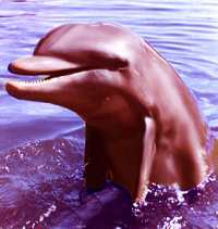 What was Flipper's REAL name?