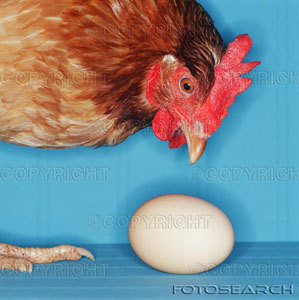  What came first, the chicken atau the egg?