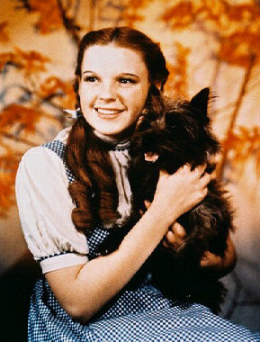 What was the name of Terry's character in Wizard of OZ?