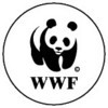  What was the name of the Panda That inspired this logo