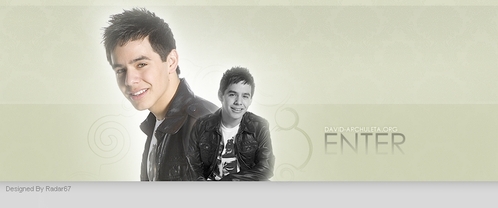  What is the birthstone of David Archuleta?