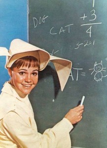 What was Sally Field's character name in The Flying Nun?