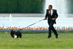  President Obama & His new Dog, Bo