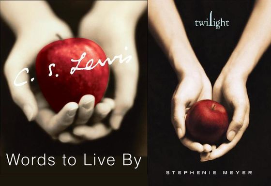  C.S. Lewis vs. Stephanie Meyer