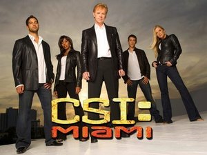  CSI: Miami Crew