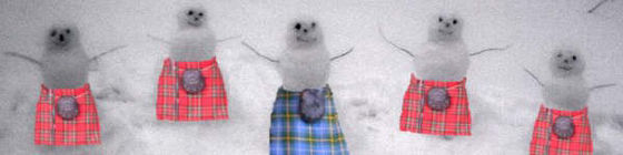  Exhibit B: Fashioning snowmen to look suspiciously like Off Kilter.
