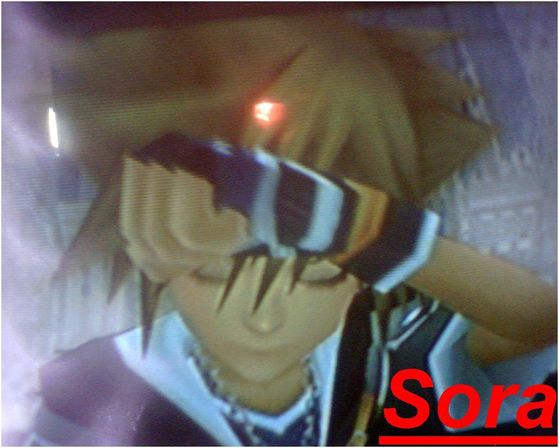  Even Sora is sorry!