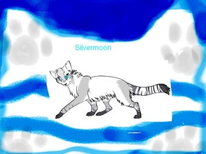  Silvermoon