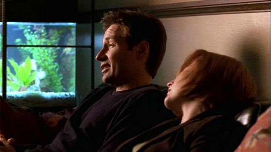  Season Seven All Things # ~ Mulder : Then All The Choices Would Lead To This Very Moment