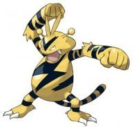  Electabuzz Thunder Punched TR