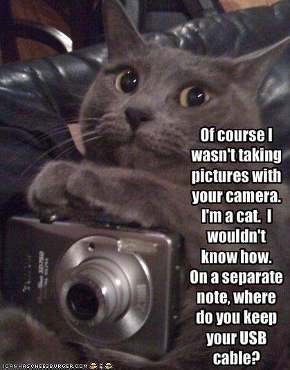 Of course I wasn't taking pictures with your camer. I'm acat. I wouldn't know how. On a seperate note, where do you keep your USB cable?