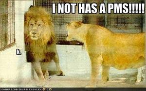  I NOT HAS A PMS!!!!! - k.