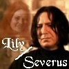  snape ad lily