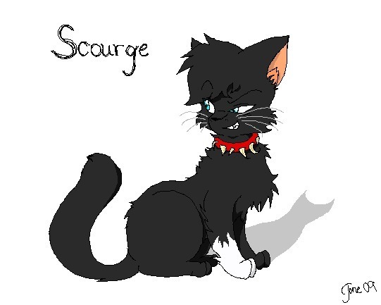  Scourge!!!!!! The leader of the pack!!!