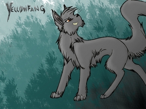  Yellowfang, again. THIS IS A BAD PICTURE OF HER! O.o