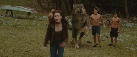 Run Dannie Run!!!!!- Emmett Cullen