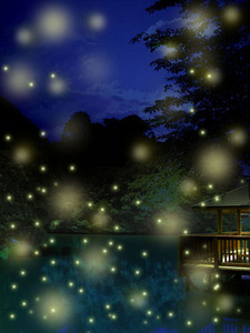  10 million fireflies