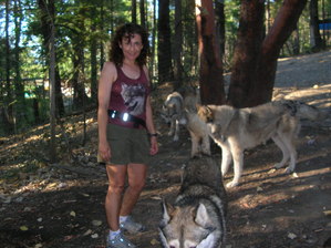  Eva volunteering at the भेड़िया sanctuary.