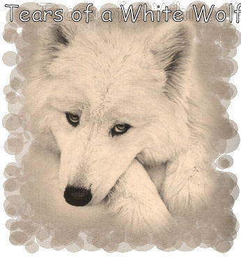  Meuki, the white woner who captivates Sky's сердце