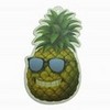  -pineapple- photo