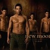 New Moon Wolf Pack Poster (Twilight) ClubTwilight photo