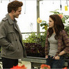 Inexplicable attraction Little_Cullen photo