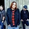seether Metal_chick1749 photo
