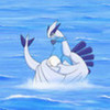 learning how to swim articuno photo