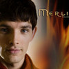 Merlin heartmerlin2 photo