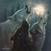 three wolves leeah12 photo