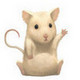 little_mouse