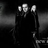 The Three Volturi Leaders!!!! prettystar photo