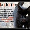 blackstar ! sakono photo