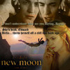 an amazing fan poster about the phone call from new moon twilightlvr1994 photo