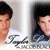 taylor lautner as.... wolfgirl26 photo