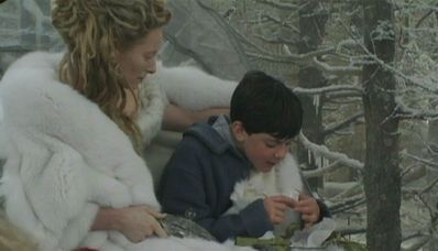  The Chronicles of Narnia - The Lion, The Witch and The Wardrobe (2005) > DVD - Turkish Delight