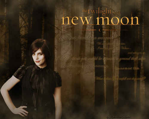  Ashley Greene/Alice Cullen like official new moon wallpaper.