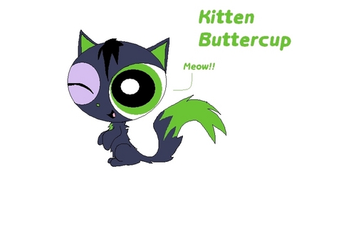  Kitten Buttercup