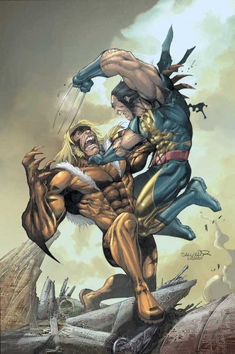  Sabretooth and Wolverine