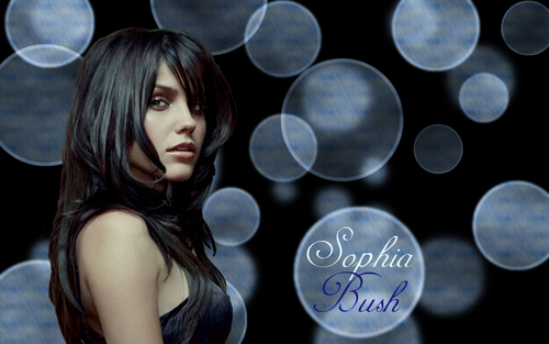  Sophia semak, bush in Light Blue