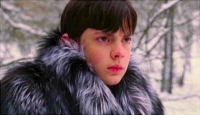 The Chronicles of Narnia - The Lion, The Witch and The Wardrobe (2005) > DVD - Extended Edition